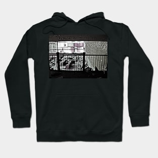 Over-site Of The Empire Hoodie